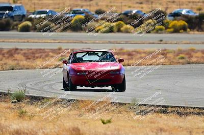 media/Nov-16-2024-Extreme Speed (Sat) [[6587d07cc4]]/Purple Group/Session 2 (Turns 3 and 5)/
